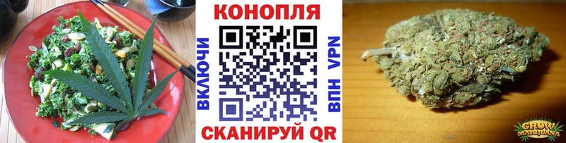 Cannafood конопля  Купить где  Новозыбков 