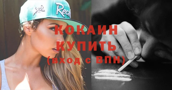 гашик Горняк