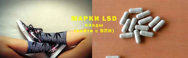 гашик Горняк