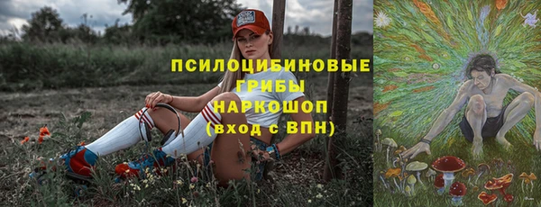 гашик Горняк