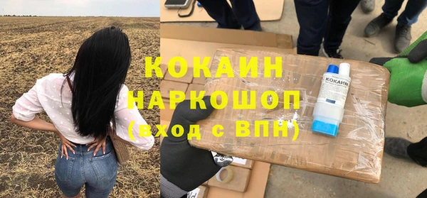 гашик Горняк
