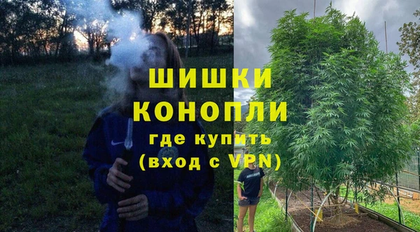 гашик Горняк