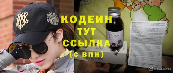 гашик Горняк