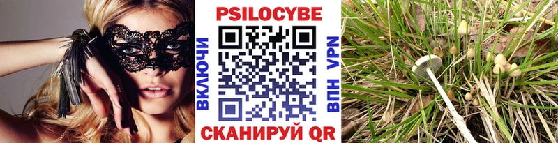 Псилоцибиновые грибы Psilocybine cubensis  Купить где  Новозыбков 